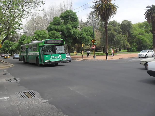 SDC11173 SDC11173