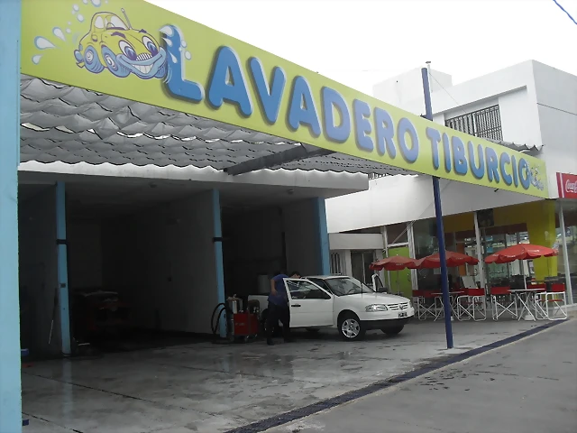 SDC11181 SDC11181