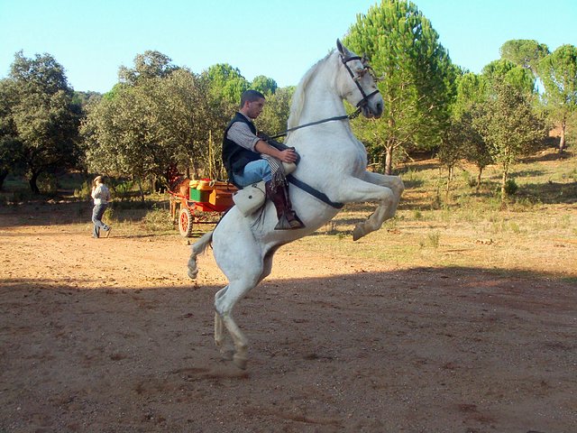 Excursion campestre a Los Dolmenes