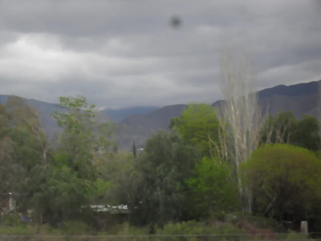 SDC11190 SDC11190