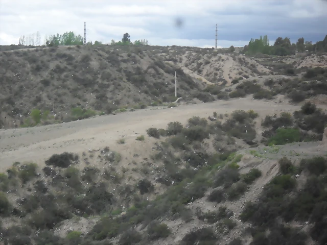 SDC11193 SDC11193