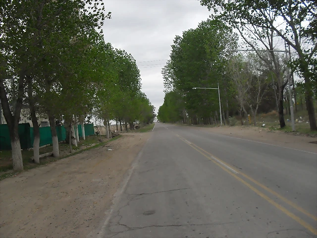 SDC11139 SDC11139