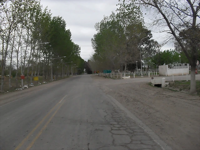 SDC11140 SDC11140