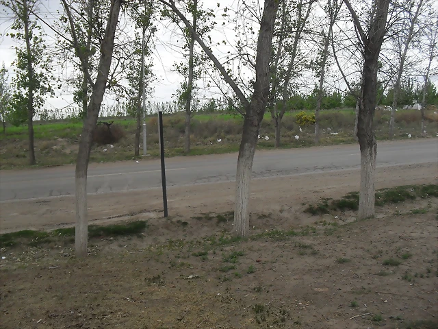 SDC11141 SDC11141