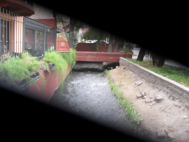SDC11175 SDC11175