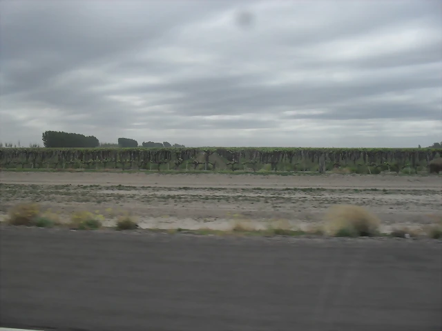 SDC11153 SDC11153