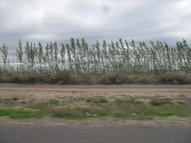 SDC11148 SDC11148