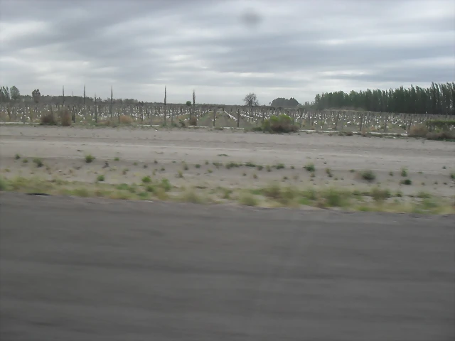SDC11155 SDC11155