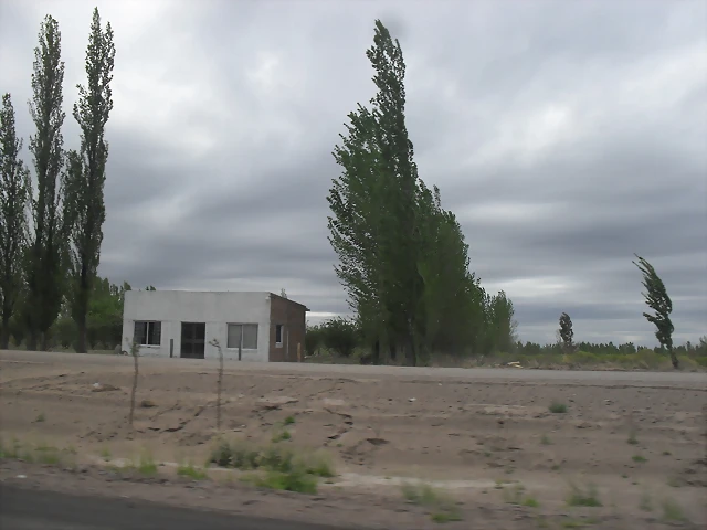 SDC11150 SDC11150