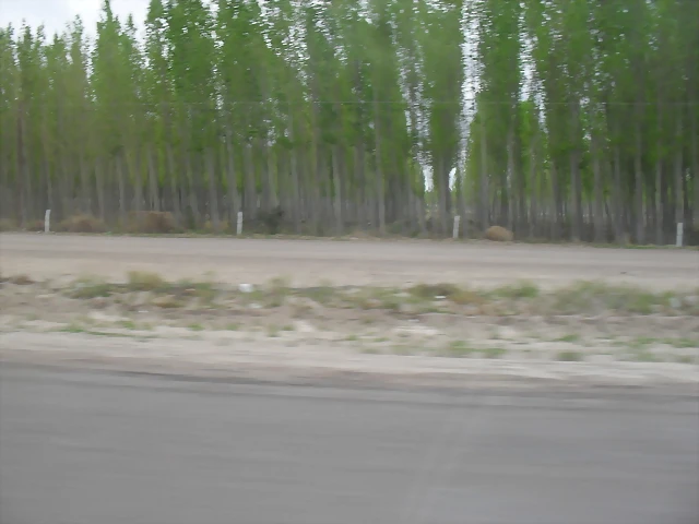 SDC11151 SDC11151