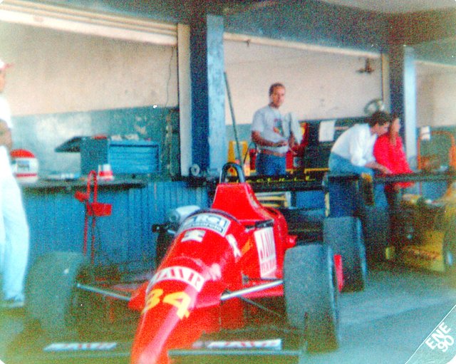 Reynard - Machado Reynard - Machado