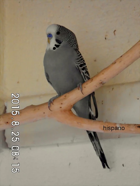CIMG1503 CIMG1503