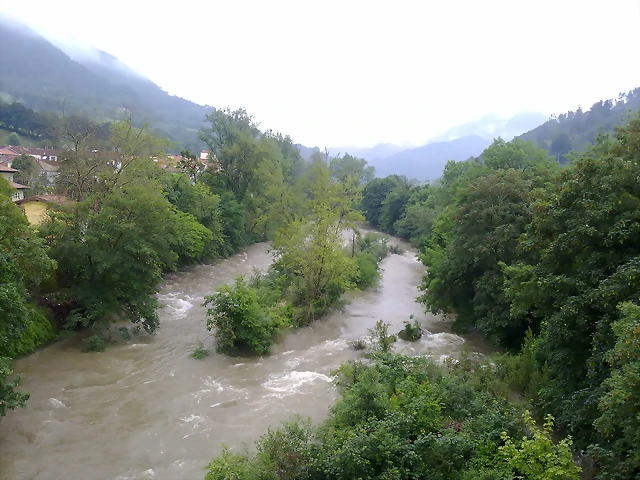 09062013217 09062013217
