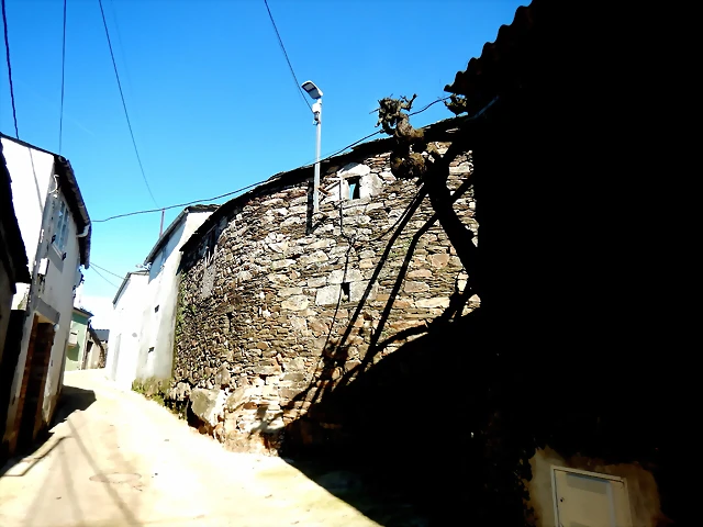 DSCN2522 DSCN2522