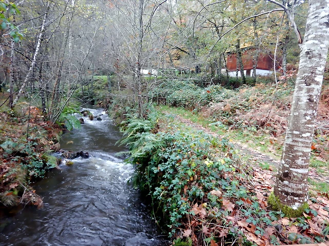 DSCN1803 DSCN1803