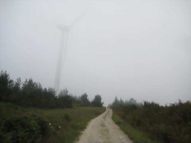 IMG_0220 IMG_0220