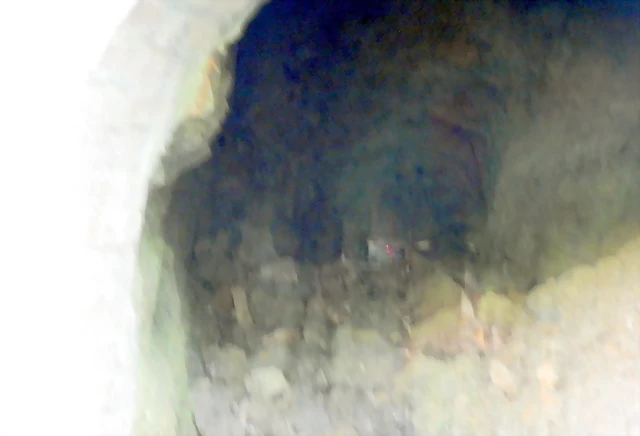 DSCN0493 DSCN0493