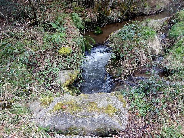 DSCN3003 DSCN3003