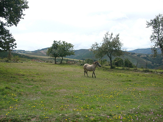 DSCN3122 DSCN3122