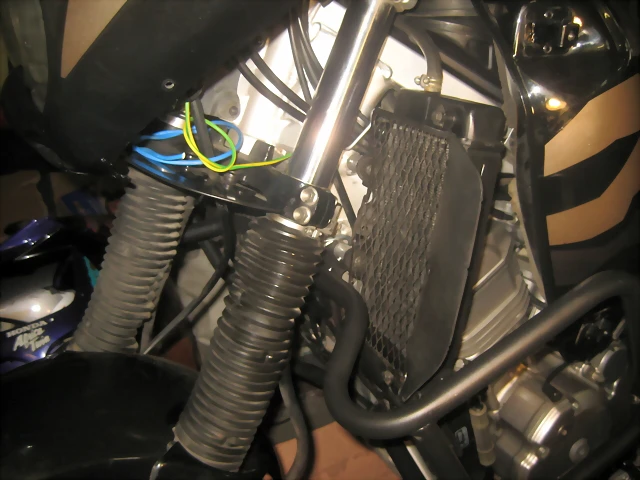 IMG_3410 IMG_3410