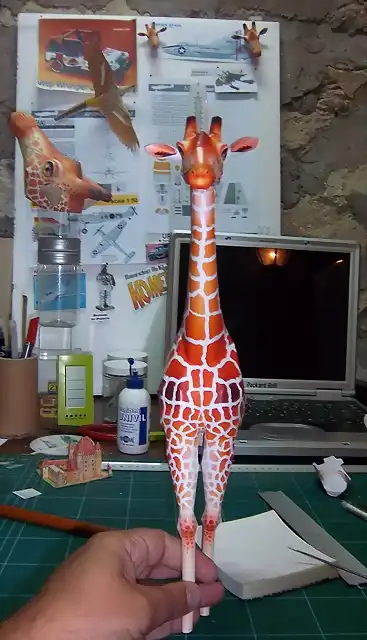 Girafa (15)