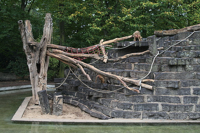 Zoos Duisburg y Krefeld 02-10-09 597 Zoos Duisburg y Krefeld 02-10-09 597