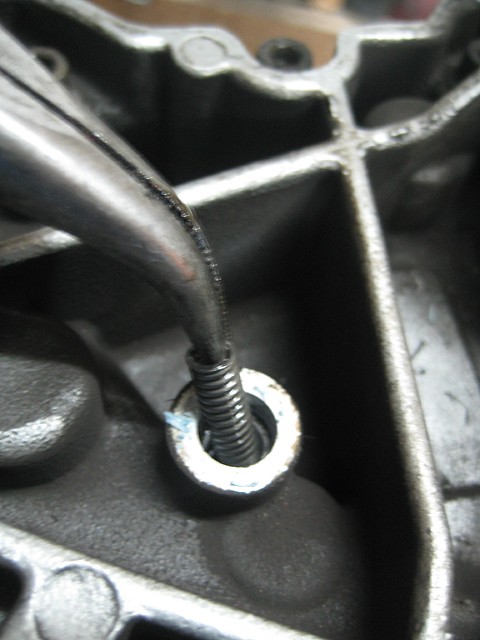 IMG_1650 IMG_1650