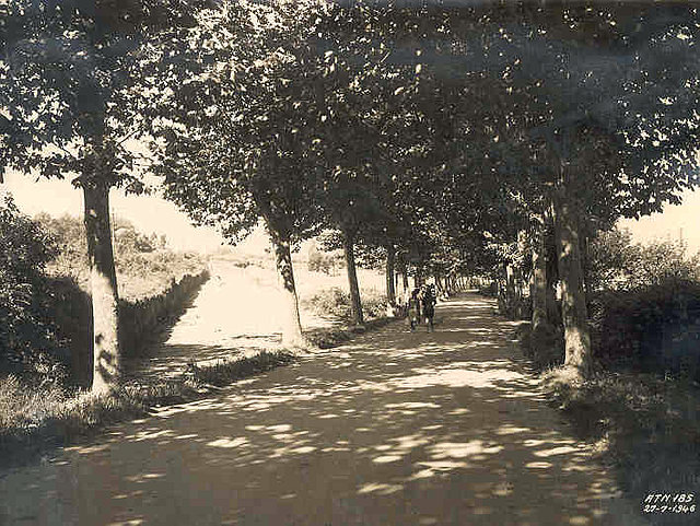 Carretera antigua al muelle de Perlio, 1946