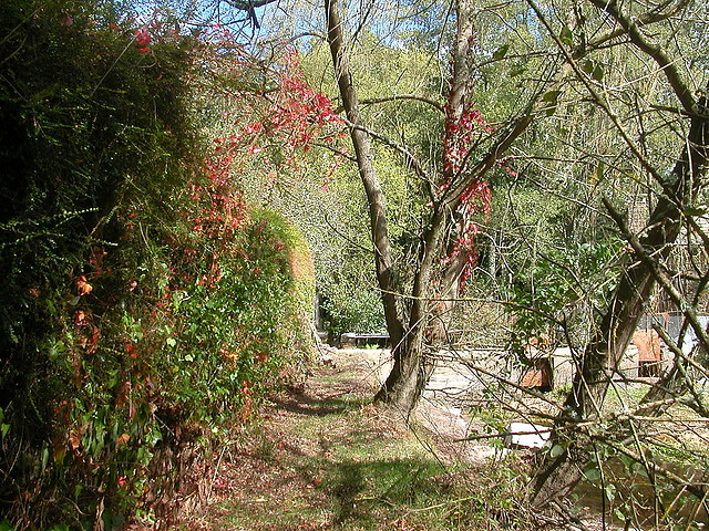 DSCN3968 DSCN3968