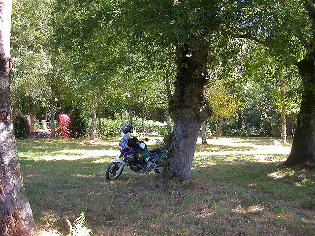 vendimia 095 vendimia 095