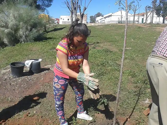 Salvad el Alto-siembra de arboles-Riotinto---A PIE DE CALLE (10)