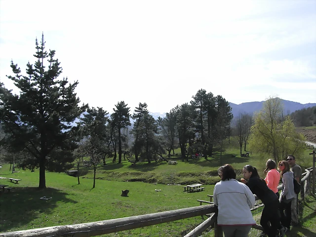 R0012321 R0012321