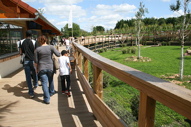 Beauval agost 2010 387 Beauval agost 2010 387