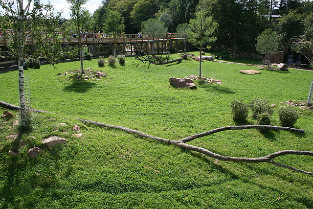 Beauval agost 2010 397 Beauval agost 2010 397