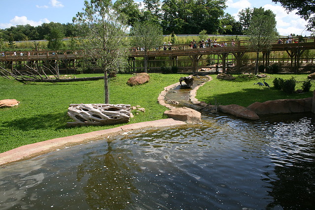 Beauval agost 2010 385 Beauval agost 2010 385