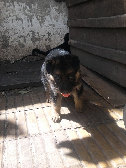 Foto0138 Foto0138