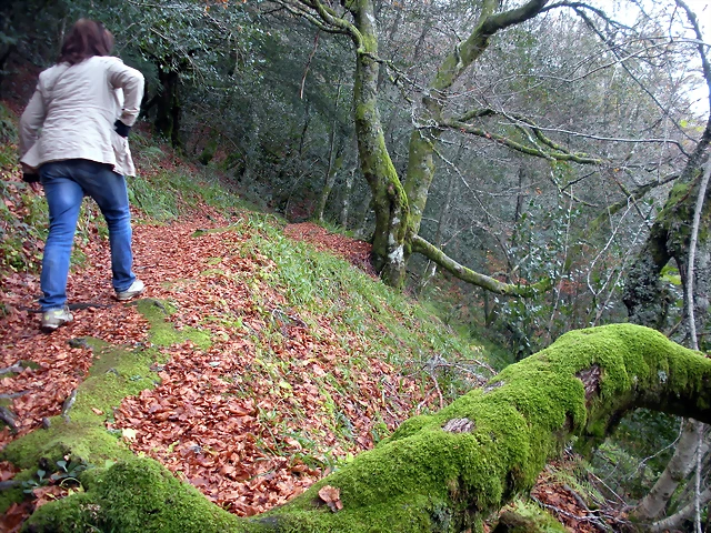 DSCN0689 DSCN0689