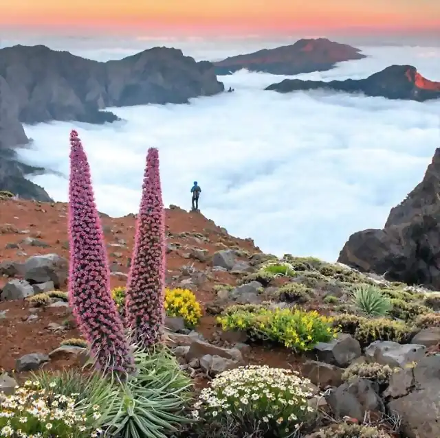 Taburiente_LaPalma