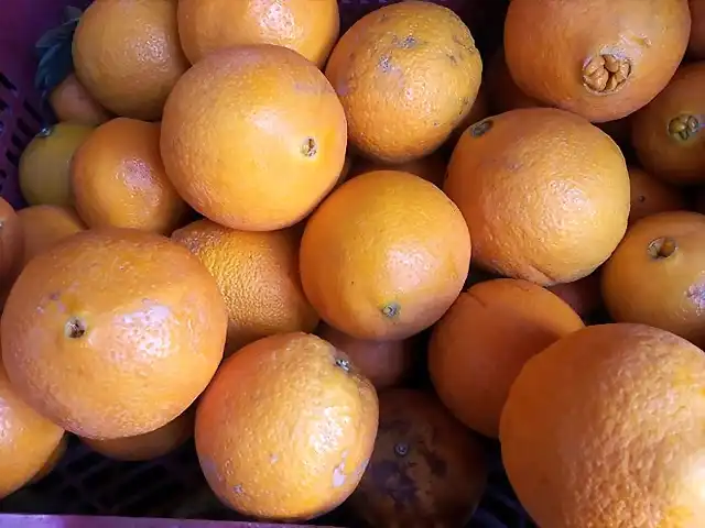 Naranjas naveles