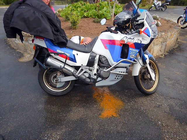 DSCN9735 DSCN9735