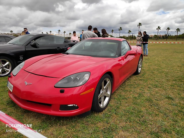 IMG_20190406_133533 IMG_20190406_133533