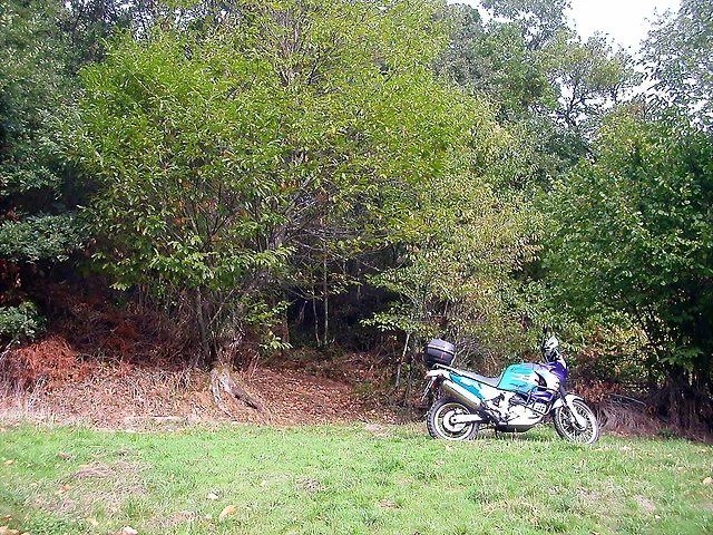 DSCN2177 DSCN2177