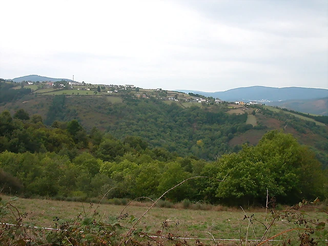 DSCN2225 DSCN2225