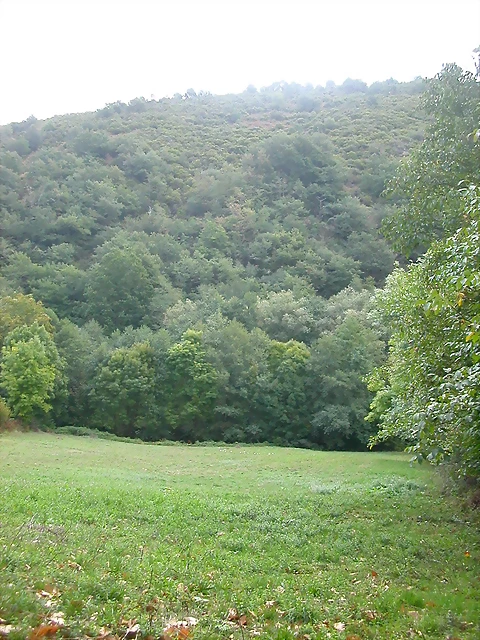 DSCN2191 DSCN2191