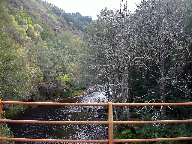 DSCN2278 DSCN2278
