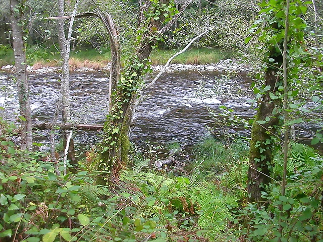 DSCN2303 DSCN2303