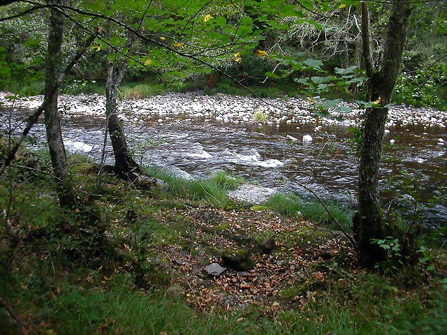 DSCN2306 DSCN2306