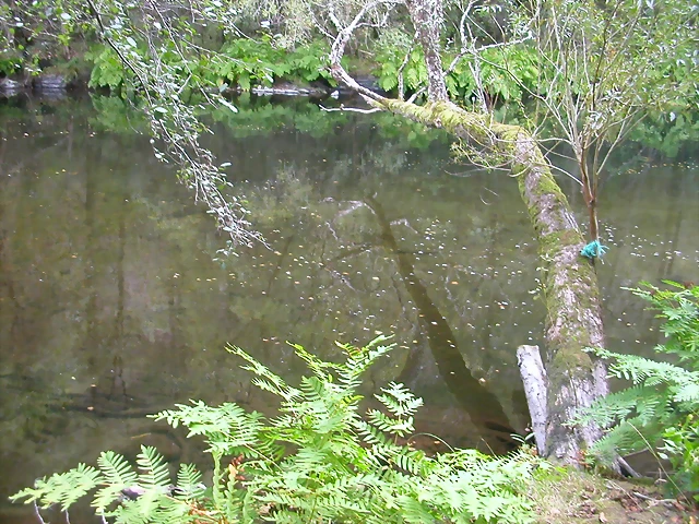 DSCN2309 DSCN2309