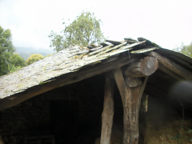 DSCN4733 DSCN4733