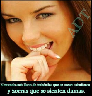 imbeciles q imbeciles q